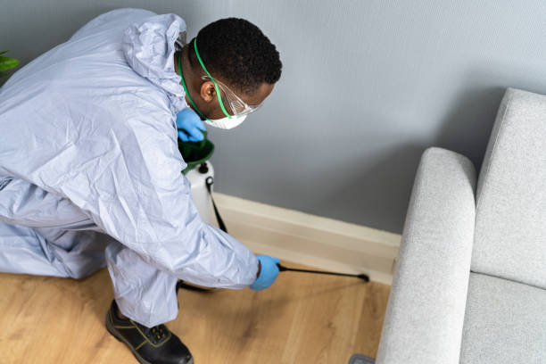 Best Pest Control for Hotels  in North Plainfield, NJ